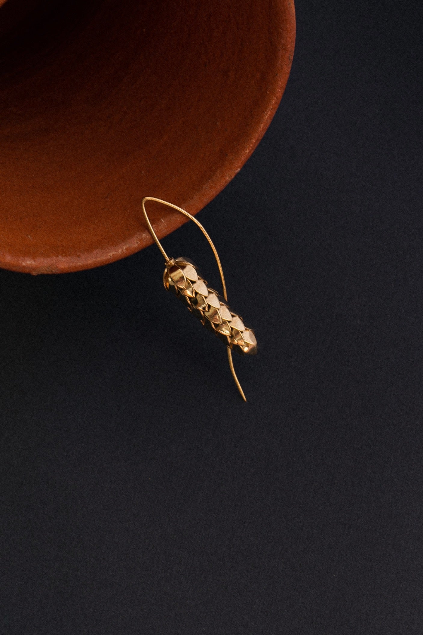 Kolosinnia brooch