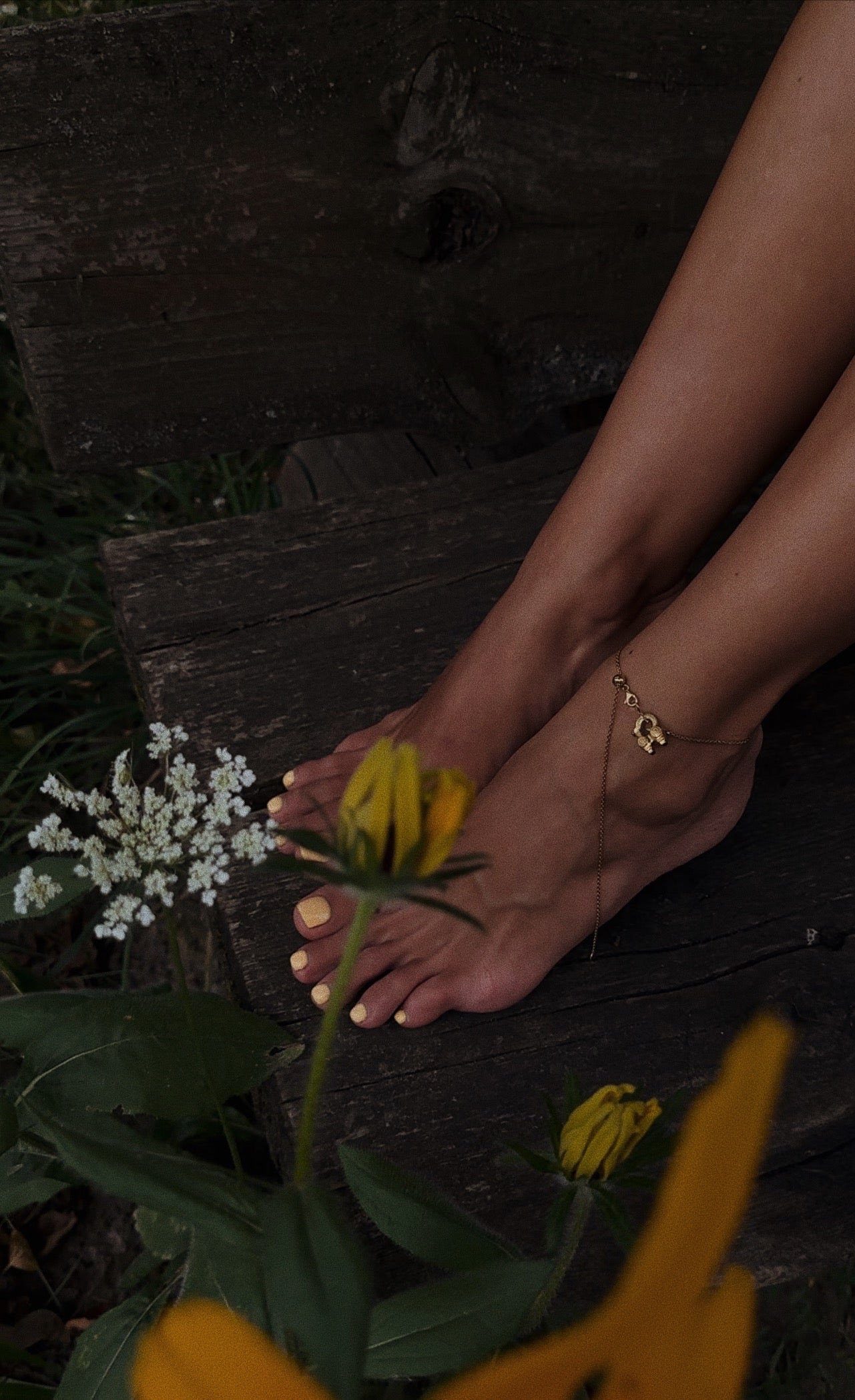 Baranets' bracelet/anklet