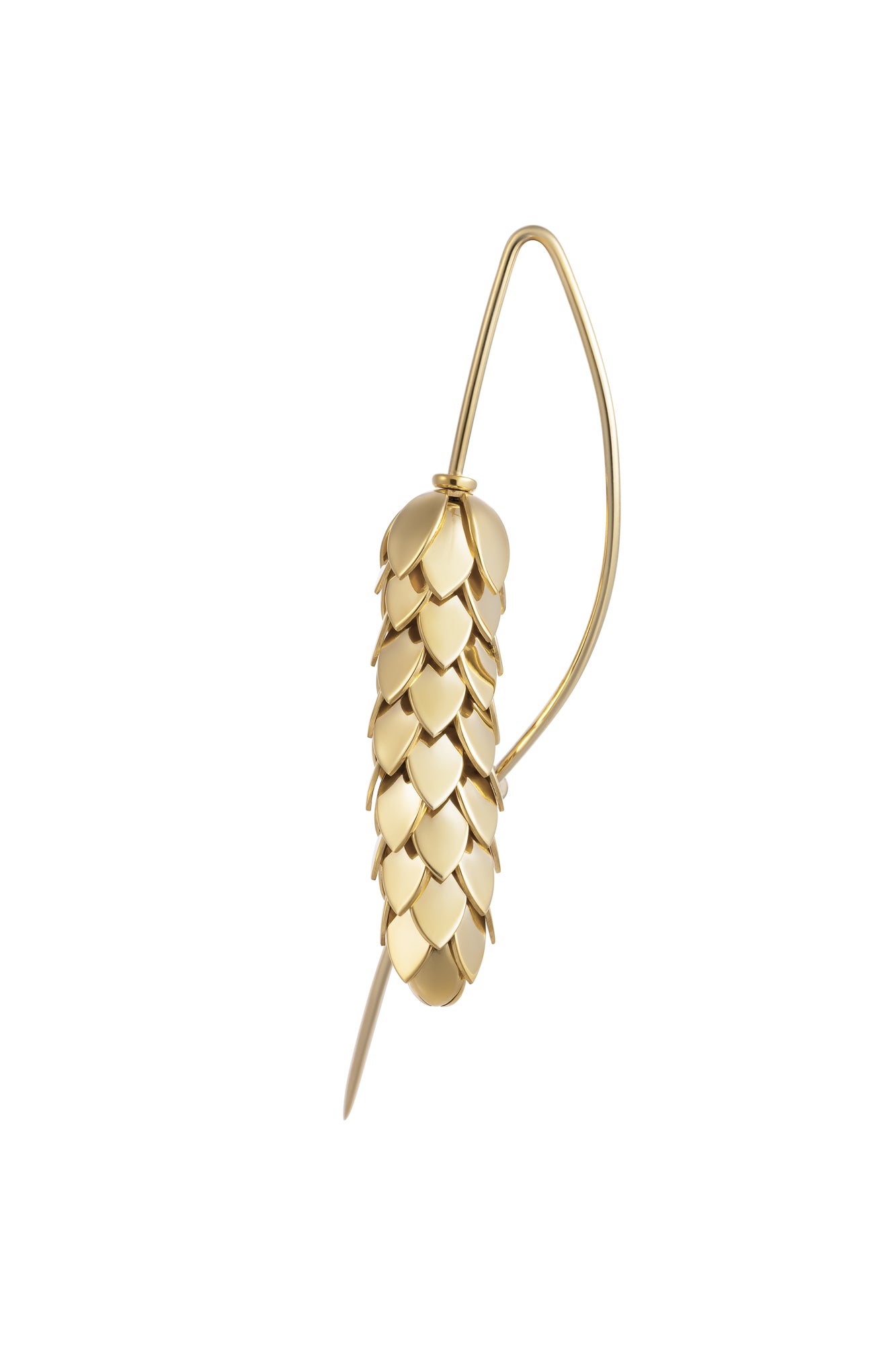Kolosinnia brooch